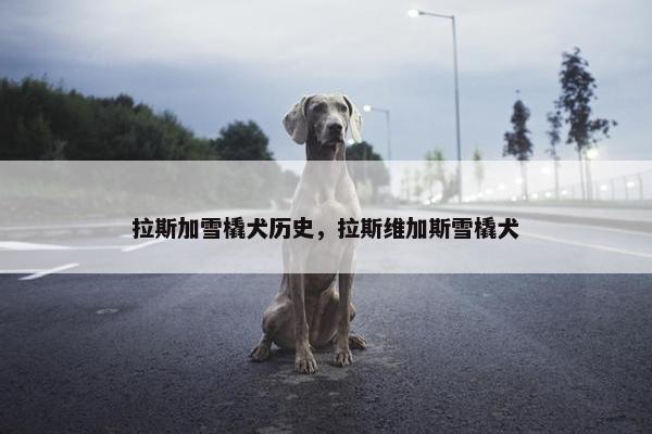 拉斯加雪橇犬历史，拉斯维加斯雪橇犬