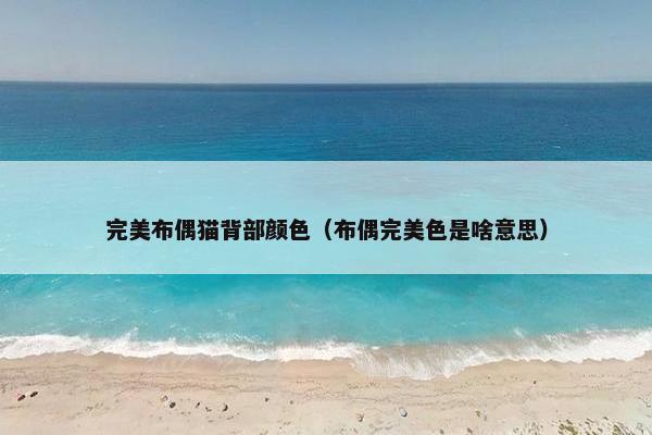 完美布偶猫背部颜色（布偶完美色是啥意思）