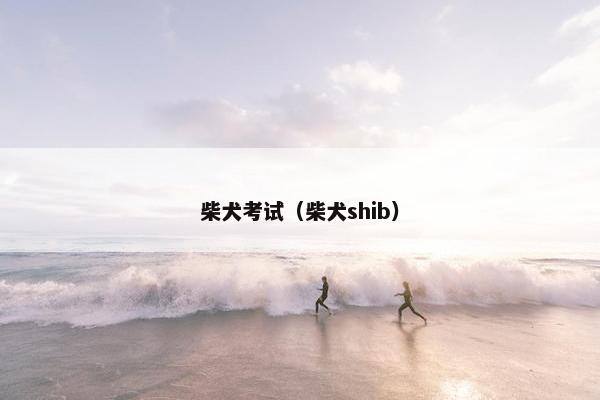 柴犬考试（柴犬shib）