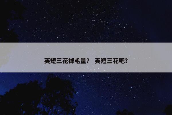 英短三花掉毛量？ 英短三花吧？