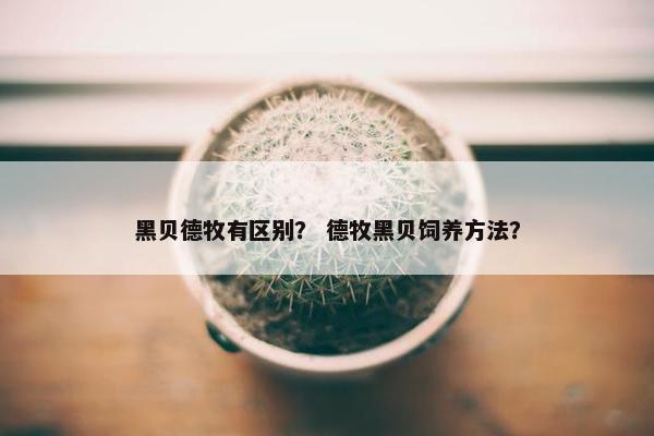 黑贝德牧有区别？ 德牧黑贝饲养方法？