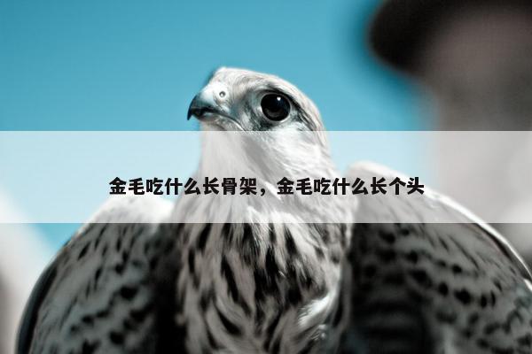 金毛吃什么长骨架，金毛吃什么长个头