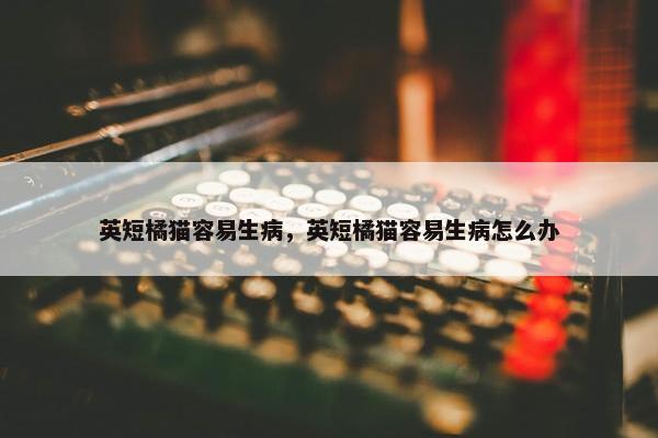 英短橘猫容易生病，英短橘猫容易生病怎么办