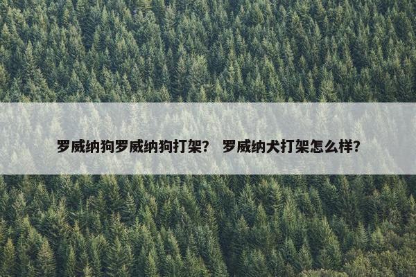 罗威纳狗罗威纳狗打架？ 罗威纳犬打架怎么样？
