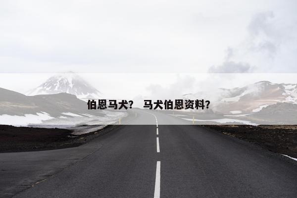 伯恩马犬？ 马犬伯恩资料？