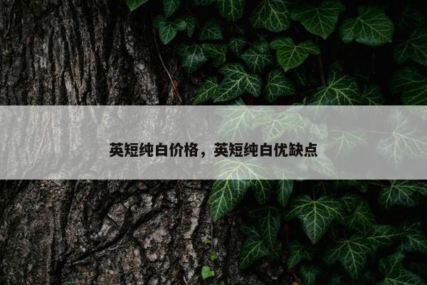 英短纯白价格，英短纯白优缺点