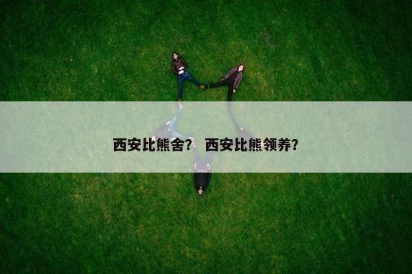 西安比熊舍？ 西安比熊领养？