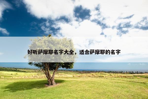 好听萨摩耶名字大全，适合萨摩耶的名字