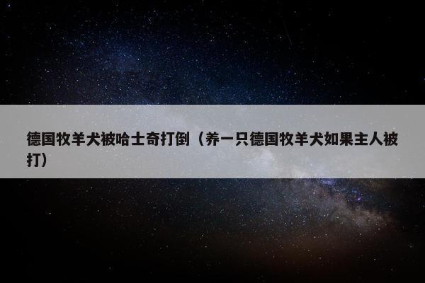 德国牧羊犬被哈士奇打倒（养一只德国牧羊犬如果主人被打）