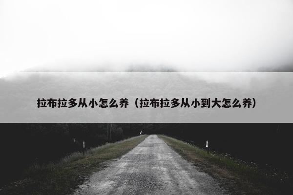 拉布拉多从小怎么养（拉布拉多从小到大怎么养）