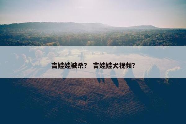 吉娃娃被杀？ 吉娃娃犬视频？