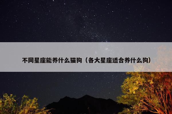 不同星座能养什么猫狗（各大星座适合养什么狗）