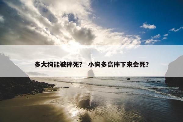 多大狗能被摔死？ 小狗多高摔下来会死？