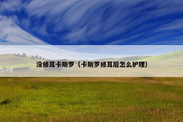 没修耳卡斯罗（卡斯罗修耳后怎么护理）