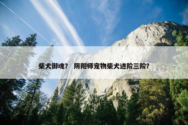 柴犬御魂？ 阴阳师宠物柴犬进阶三阶？