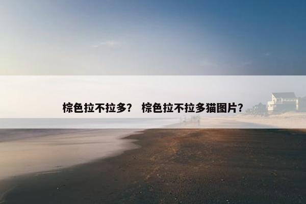 棕色拉不拉多？ 棕色拉不拉多猫图片？