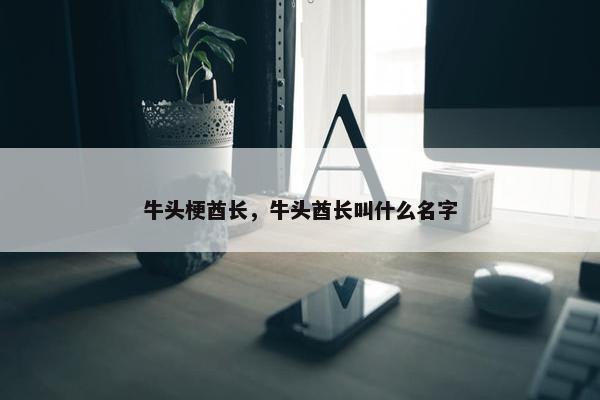 牛头梗酋长，牛头酋长叫什么名字