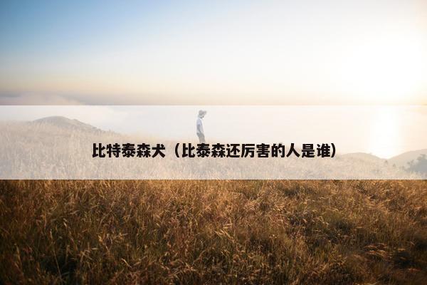 比特泰森犬（比泰森还厉害的人是谁）