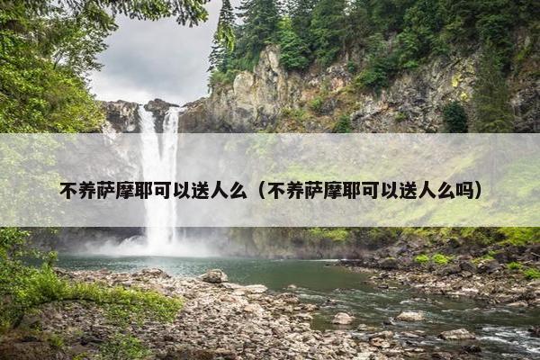 不养萨摩耶可以送人么（不养萨摩耶可以送人么吗）