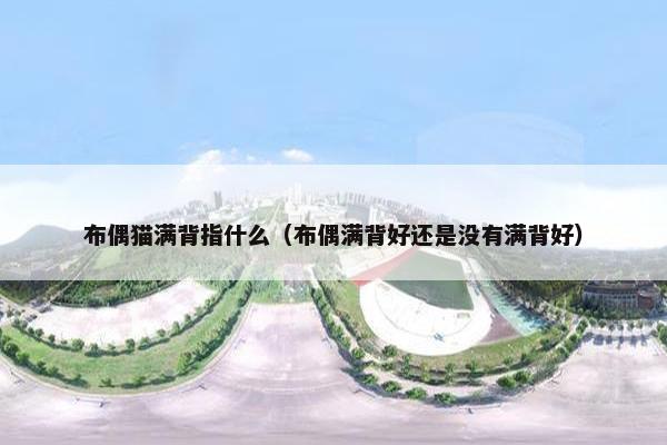 布偶猫满背指什么（布偶满背好还是没有满背好）