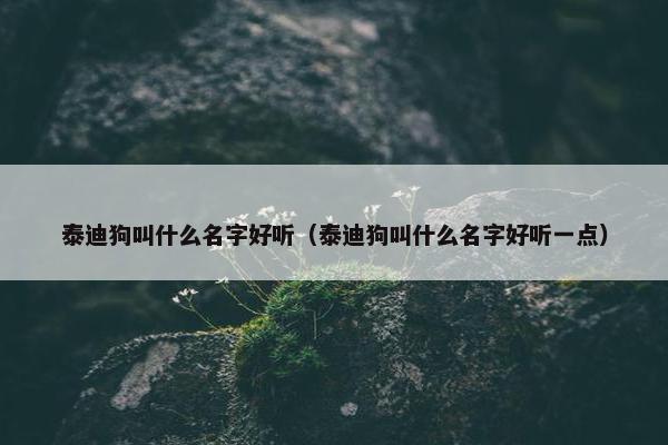 泰迪狗叫什么名字好听（泰迪狗叫什么名字好听一点）