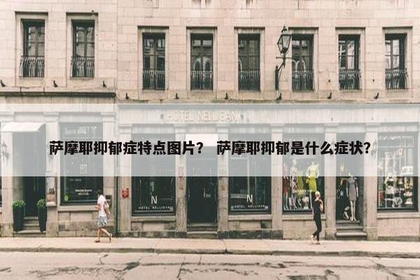 萨摩耶抑郁症特点图片？ 萨摩耶抑郁是什么症状？