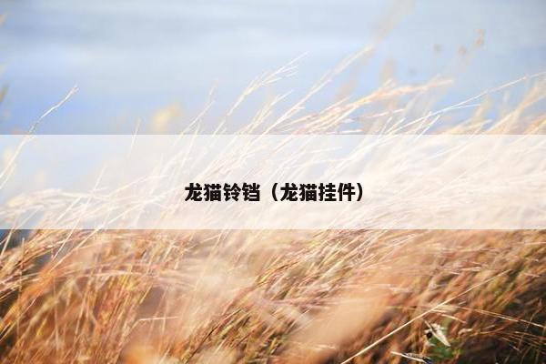 龙猫铃铛（龙猫挂件）