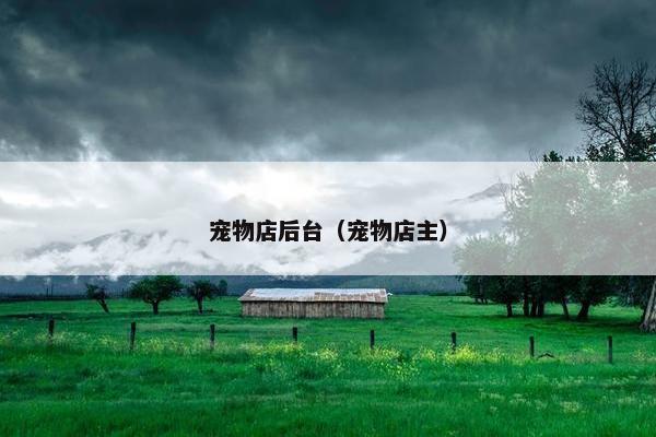 宠物店后台（宠物店主）