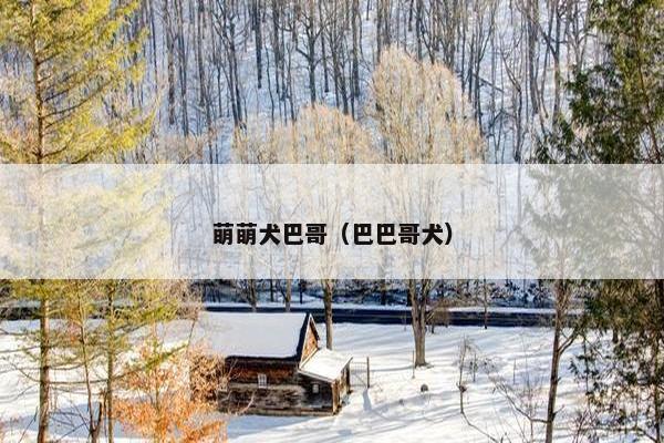 萌萌犬巴哥（巴巴哥犬）