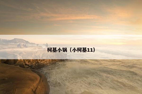 柯基小锅（小柯基11）