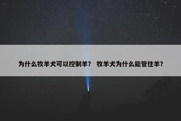 为什么牧羊犬可以控制羊？ 牧羊犬为什么能管住羊？