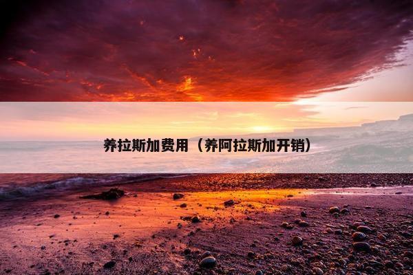 养拉斯加费用（养阿拉斯加开销）