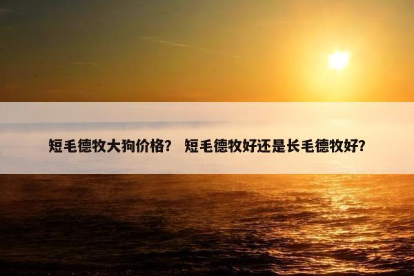 短毛德牧大狗价格？ 短毛德牧好还是长毛德牧好？