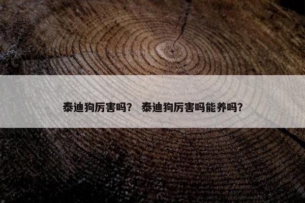 泰迪狗厉害吗？ 泰迪狗厉害吗能养吗？