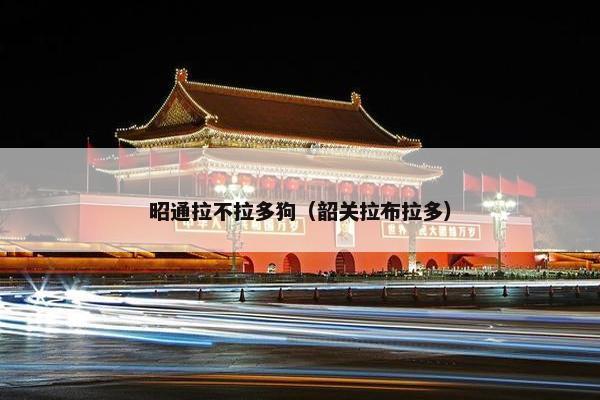 昭通拉不拉多狗（韶关拉布拉多）