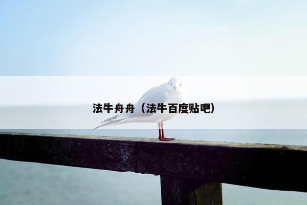 法牛舟舟（法牛百度贴吧）