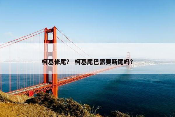 柯基修尾？ 柯基尾巴需要断尾吗？