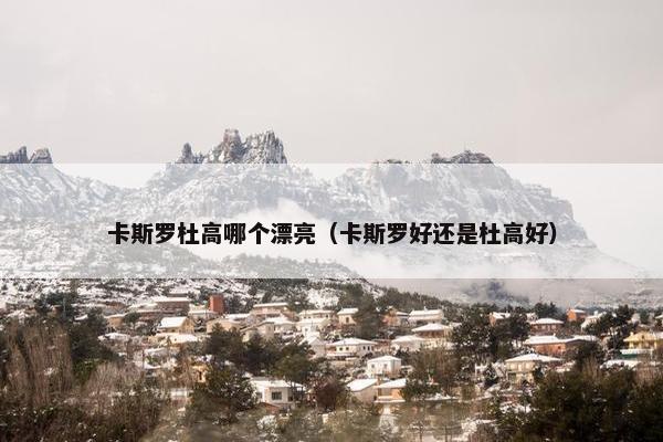 卡斯罗杜高哪个漂亮（卡斯罗好还是杜高好）