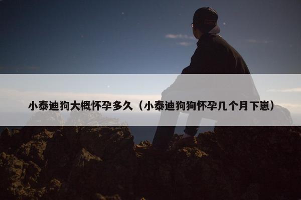 小泰迪狗大概怀孕多久（小泰迪狗狗怀孕几个月下崽）