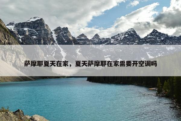 萨摩耶夏天在家，夏天萨摩耶在家需要开空调吗