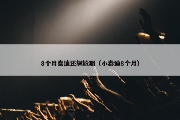 8个月泰迪还尴尬期（小泰迪8个月）