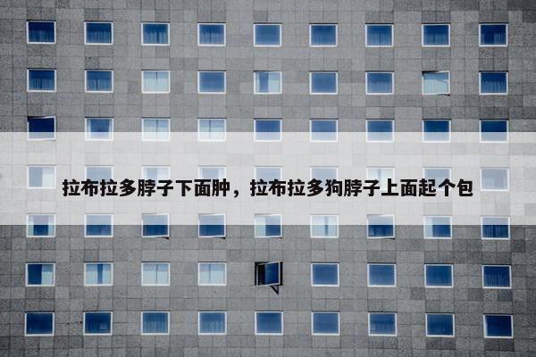 拉布拉多脖子下面肿，拉布拉多狗脖子上面起个包