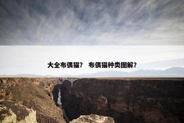 大全布偶猫？ 布偶猫种类图解？