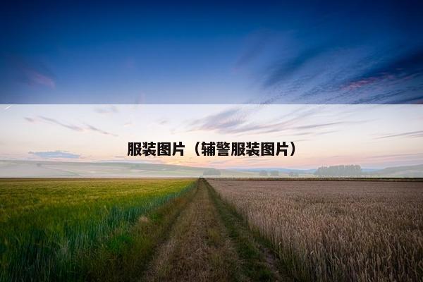 服装图片（辅警服装图片）