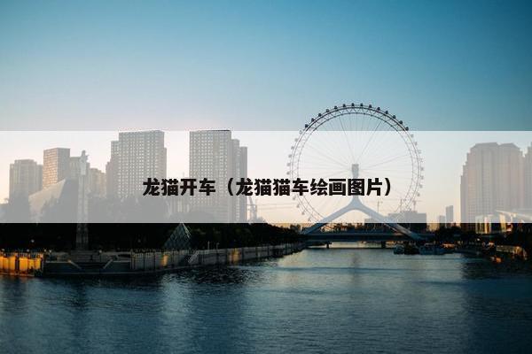 龙猫开车（龙猫猫车绘画图片）
