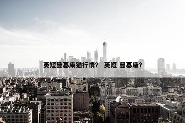 英短曼基康猫行情？ 英短 曼基康？