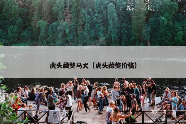 虎头藏獒马犬（虎头藏獒价格）