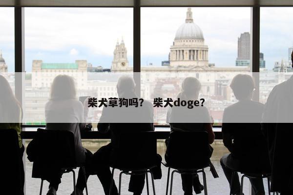 柴犬草狗吗？ 柴犬doge？