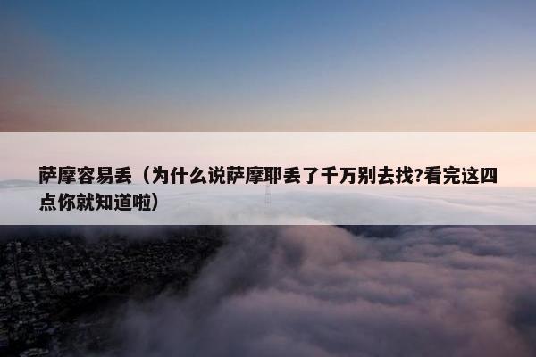 萨摩容易丢（为什么说萨摩耶丢了千万别去找?看完这四点你就知道啦）