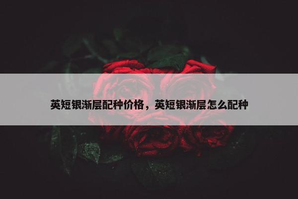 英短银渐层配种价格，英短银渐层怎么配种